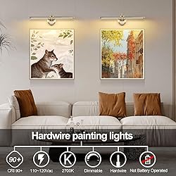 Tassuowell Hardwired Picture Light,24 Inch Dimmable