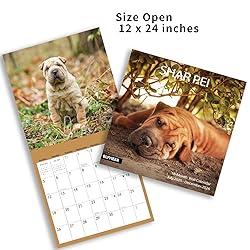 2025-2026 Wall Calendar,Shar Pei Wall