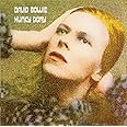 Hunky Dory 2015