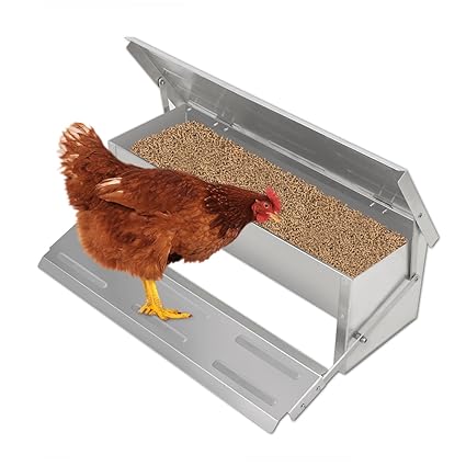 Sturdy Galvanized Steel Poultry Feeders 20lb Feed Grandpas Feeders