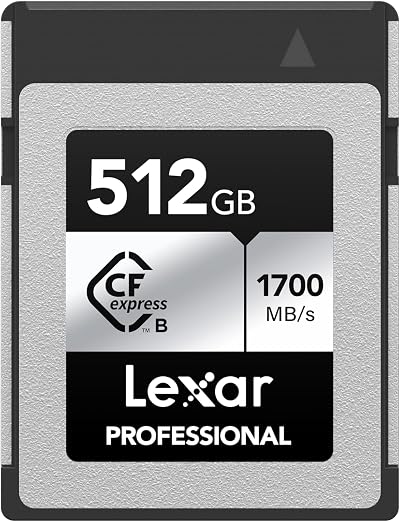 Lexar 512GB Professional Silver SE CFexpress Type B Memory Card 1700 MB/s