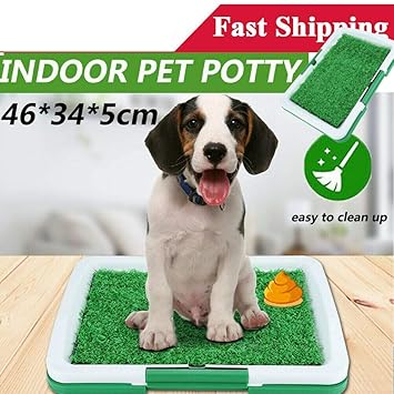 PETS EMPIRE Puppy Pets Empire Pet Potty Training Pee Indoor Home Dog Grass Pad Mat Mesh+Collection Tray