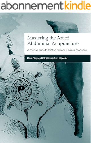 Download Mastering the Art of Abdominal Acupuncture: A Concise Guide to Treating Numerous Painful Conditions (English Edition) PDF
