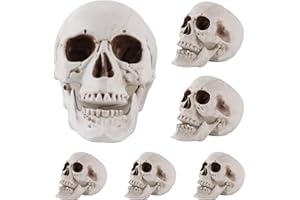 FONYFA 6 Pcs Halloween Human Skull Realistic Skeleton Decorations Head Skull Decor Human Head Bone Skull for Statue Halloween Outdoor Decor, 3 Size,8inch,6inch,4inch