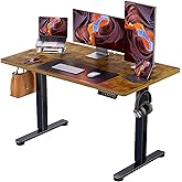 ErGear Electric Standing Desk, 48‘’x24‘’ Height Adjustable Sit Stand up Desk, 4 Memory Computer Home Office Desk Standing Tab