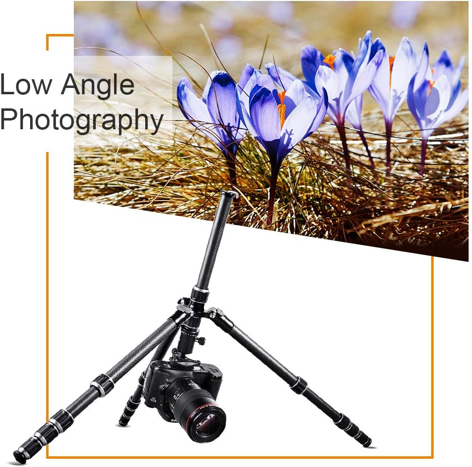 K&F Concept 61" Carbon Fiber Camera Tripod, B210 Professional Lightweight Compact Tripod with 2 Sections Central Column 360 Degree Ball Head and Carrying Case for Digital Camera/Camcorder : Camera & Photo