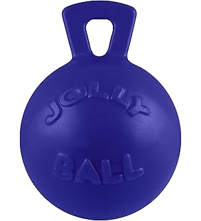 horse ball toy with handle