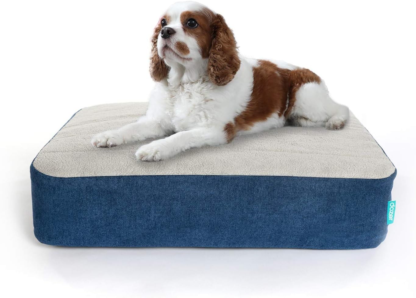 odor resistant dog bed