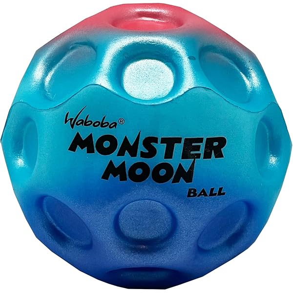 Amazon.com: Waboba Moonshine 2.0 Ball Toy, 1 EA : Pet Supplies
