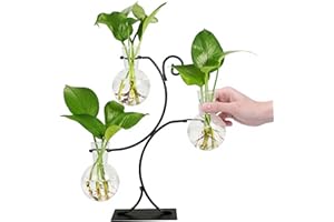 Renmxj 2025 New Desktop Plant Propagation Stations, Plant Terrarium with Metal Stand, 3 Bulb Glass Propagation Vases for Hydroponic Plants, Home Office Decor Planter Gardening Gifts for Women