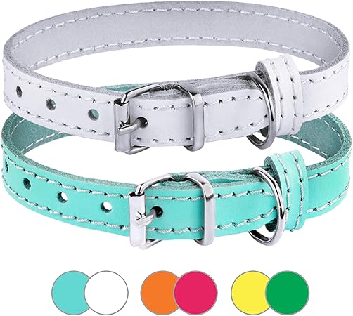 turquoise cat collar