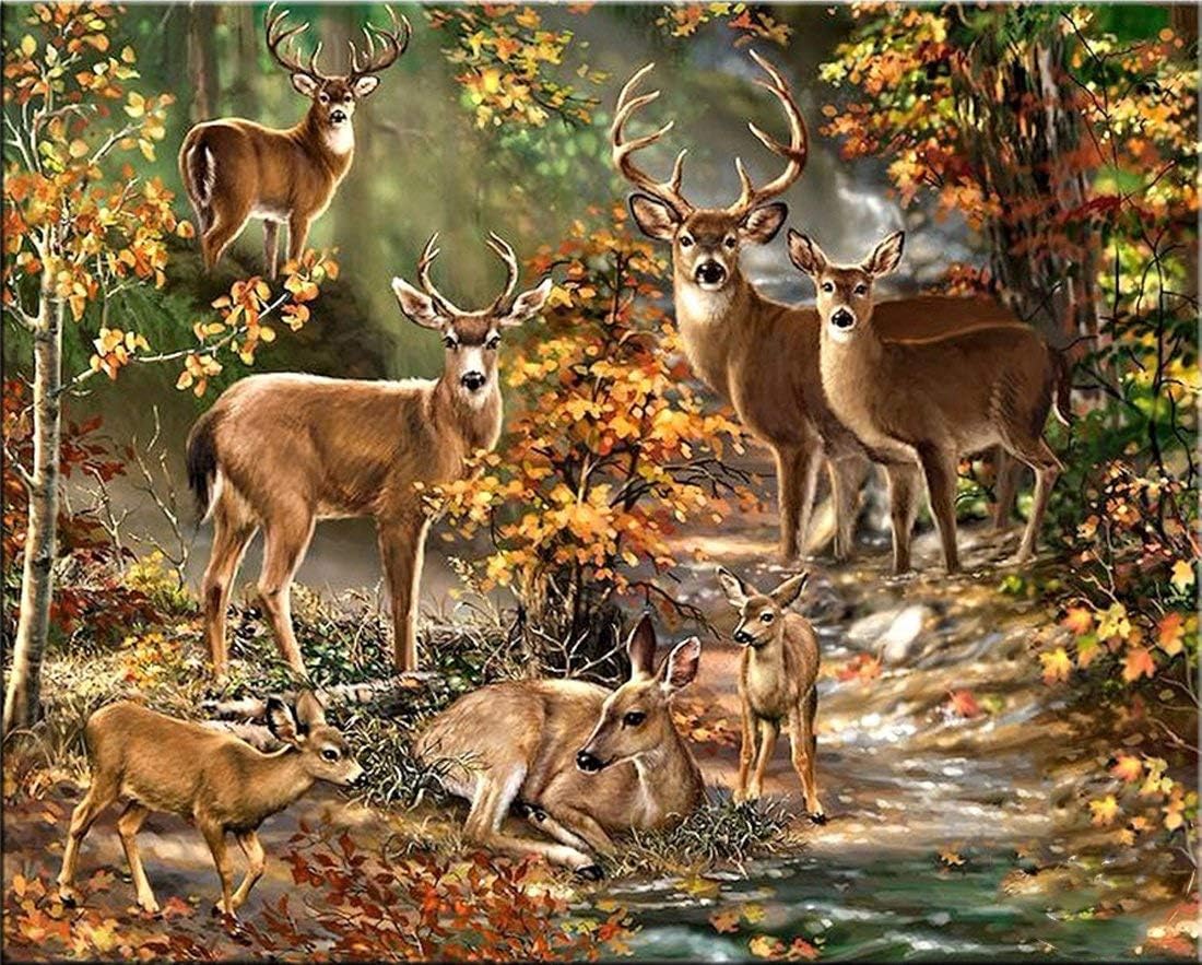 Sqailer Diamond Painting Full Round Drill Deer Rhinestone Embroidery for Wall Decoration 12X16 inches
