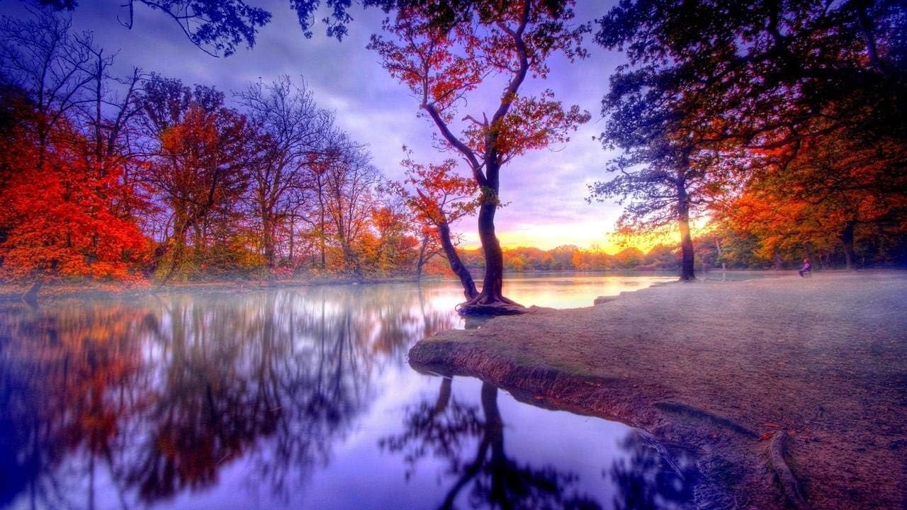 Kpoiuy Fall Silence Trees Lake DIY Oil Painting By Numbers Kits Theme Digital Oil Painting Canvas Kits Birthday Wedding Or Christmas Decor Decorations