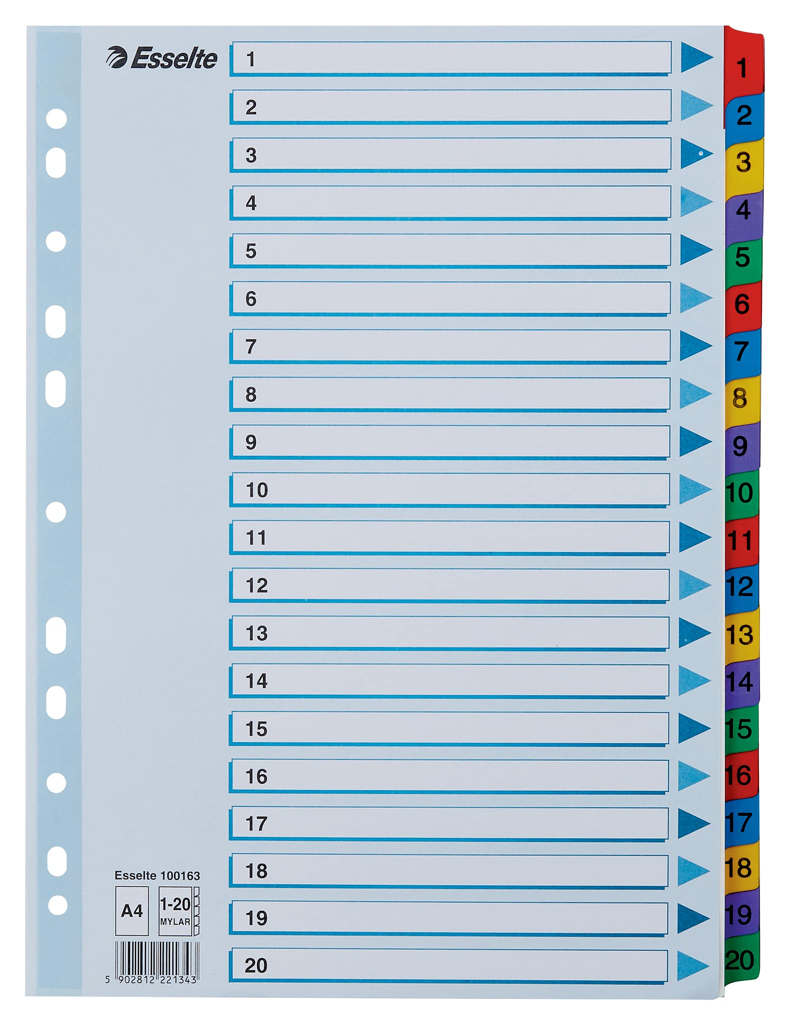 Esselte A4 1-20 Index, Heavy Duty Cardboard with Mylar Reinforced Tabs, Blue/Multicolour