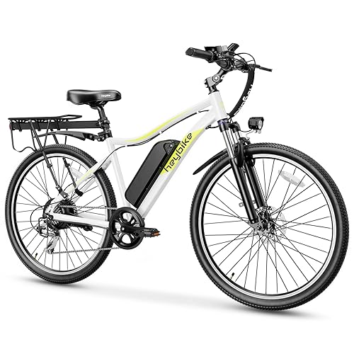 Heybike Race Max Electric Bike for Adults 500W Brushless