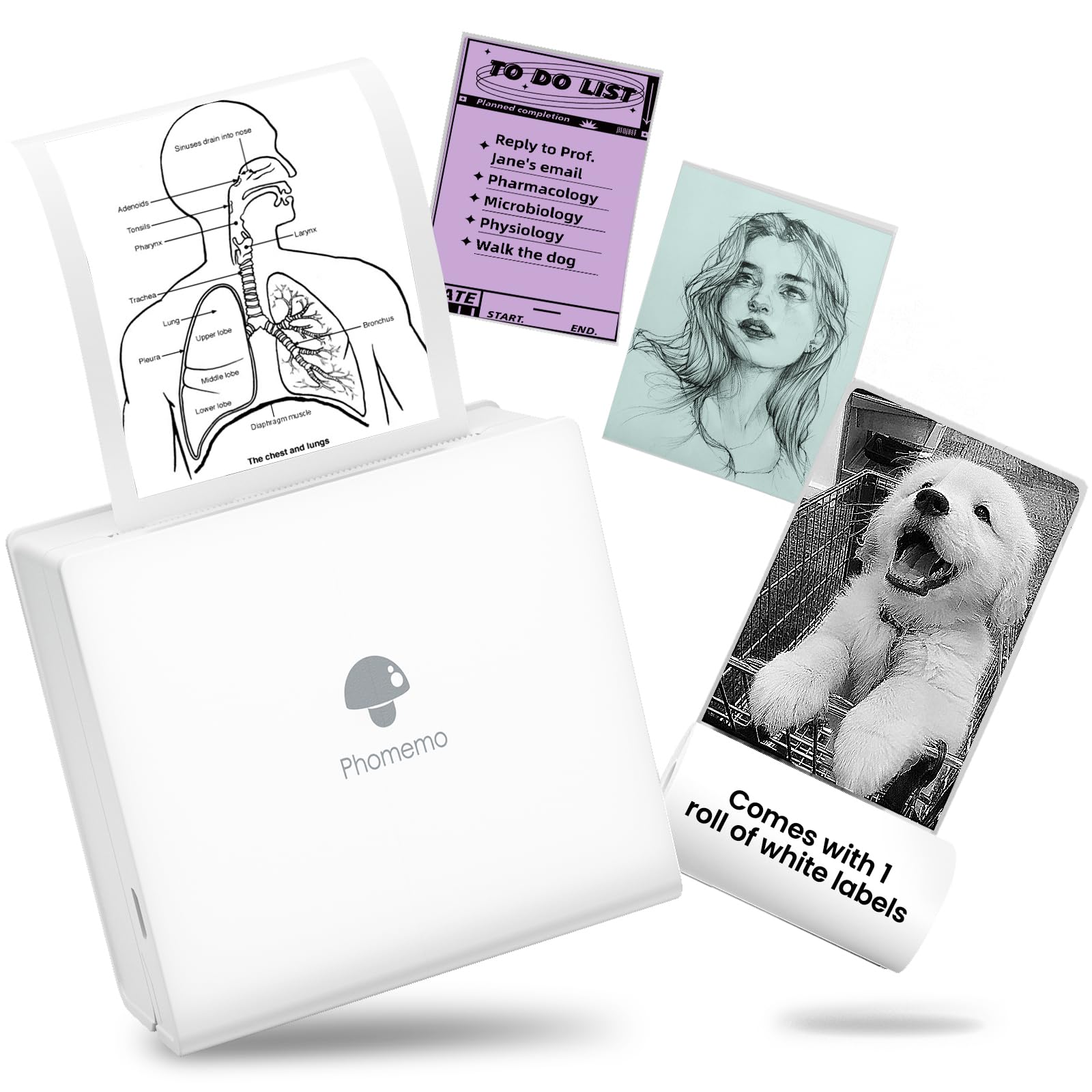 Phomemo M02 Sticker Printer - 2024 Newest Mini