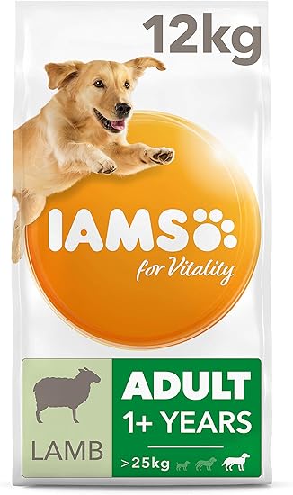 fish live with betta