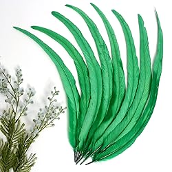 THARAHT 50PCS Rooster Coque Tail Feathers Bulk