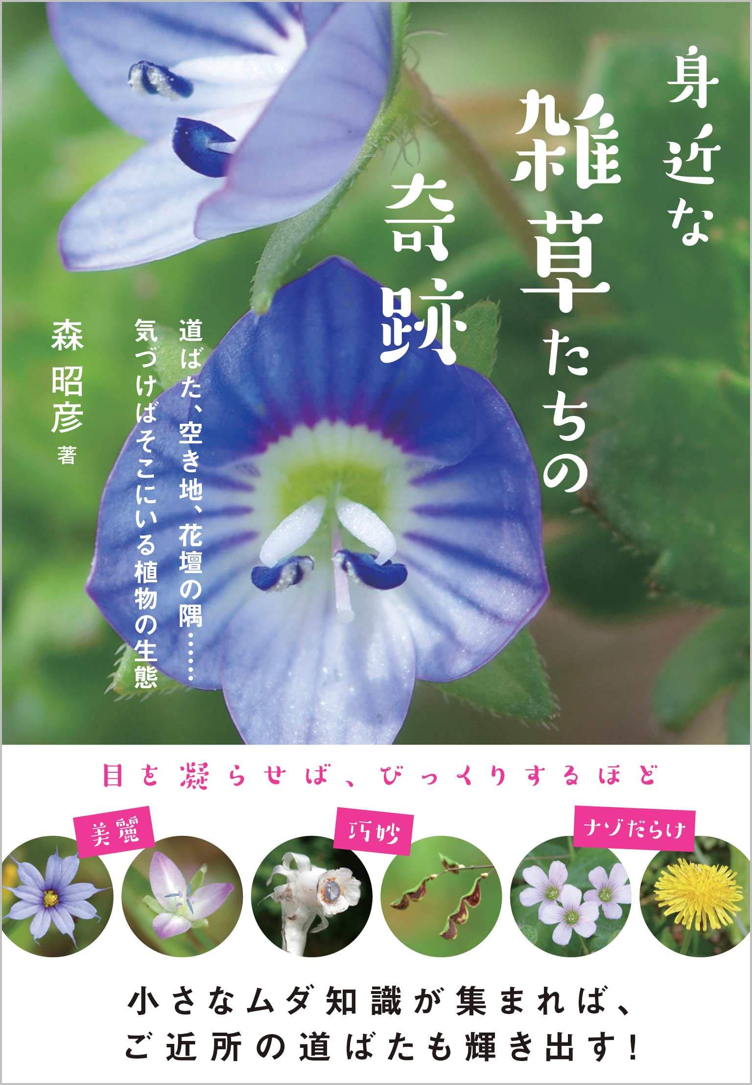 身近な雑草たちの奇跡 道ばた 空き地 花壇の隅 気づけばそこにいる植物の生態 森 昭彦 本 通販 Amazon