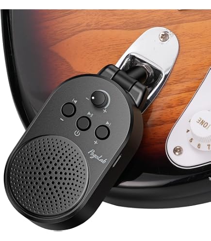 Amazon.com: Fluid Audio Strum Buddy Pro: 6W Active/Powered Battery