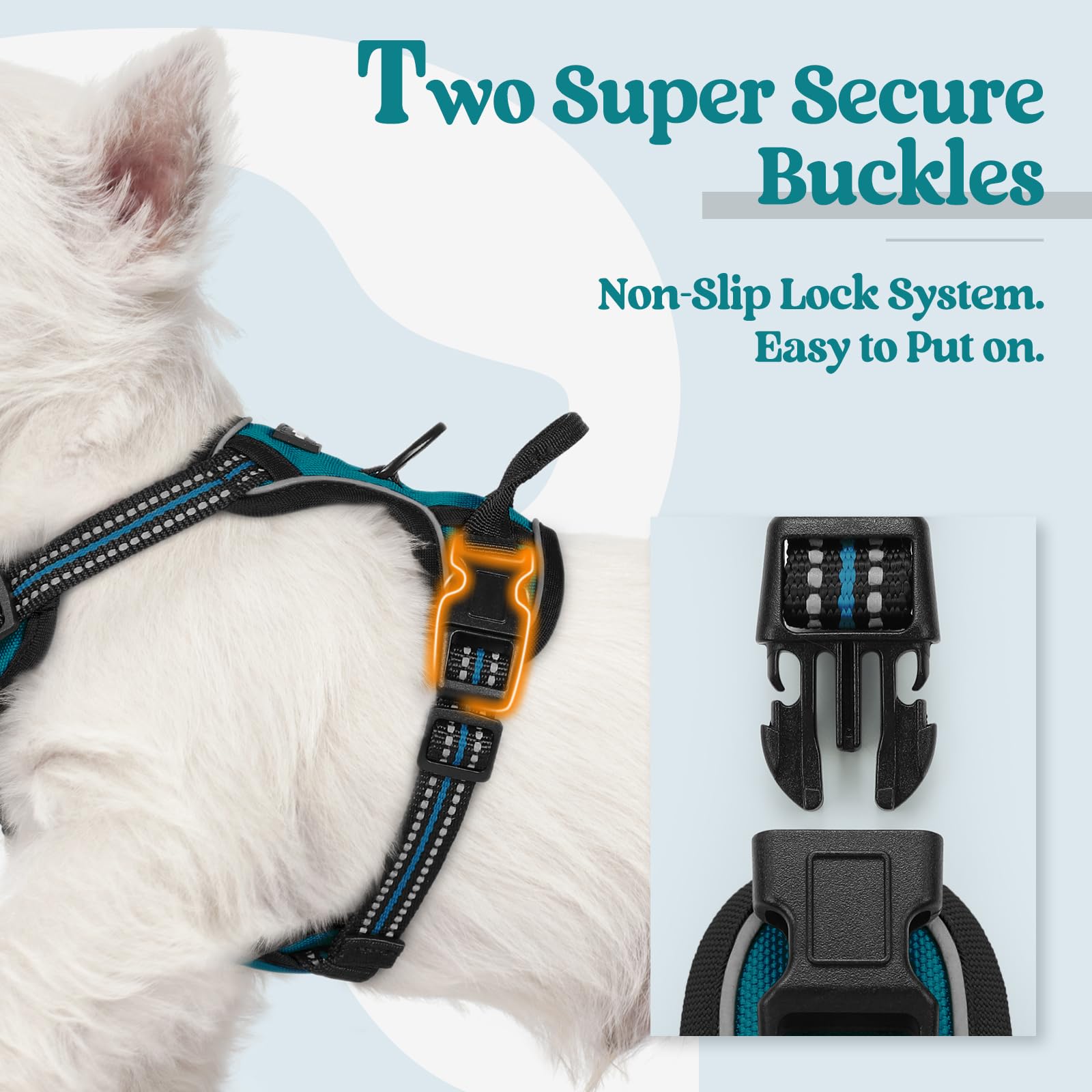 View 4