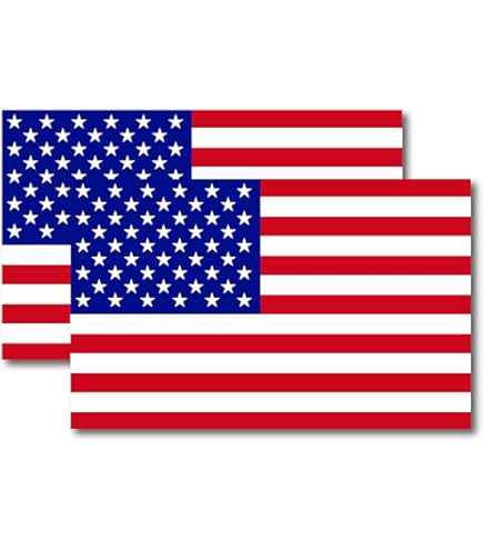 Skull American Flag Magnet - 5x4 Inch Patriotic Car Truck Vinyl Decal