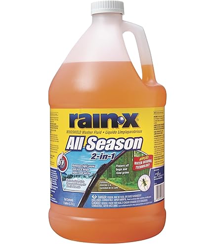 Amazon.com: Rain-x 113645 De-icer & Bug Remover Windshield Washer