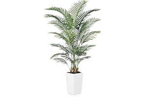 VeriNatural 6FT Artificial Palm Tree - Tall Fake Tree with White Taper Planter & Pebbles, UV Resistant for Indoor & Outdoor Decor - Large Potted Faux Plant for Living Room, Office, Home Decor,VN130
