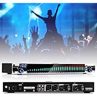 NEWTRY 31-Band Audio Spectrum Analyzer, Home Equalizer With Real Time Frequency Level Display, 1U Stereo Audio System, 110V