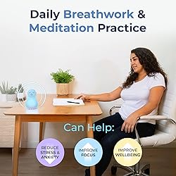 Mindsight 'Breathing Buddha' Guided Visual