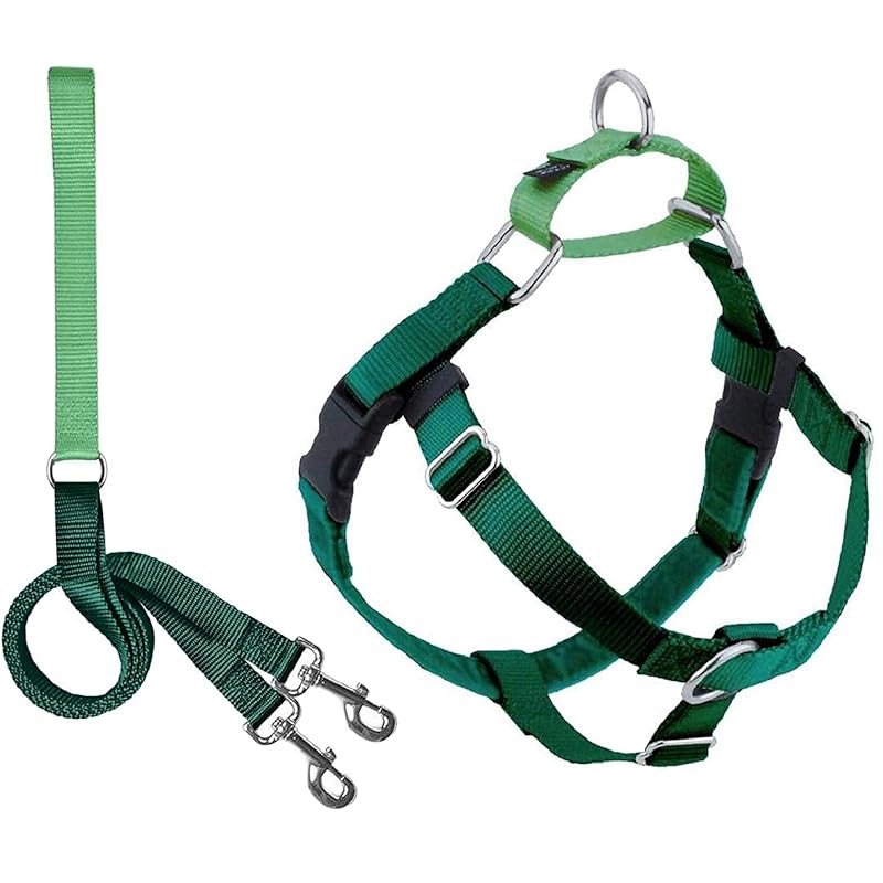 Top 5 Best Harness For English Bulldog (Reviews & Guide) iHomePet