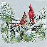 Dimensions 'Winter Cardinals' Counted Cross Stitch Kit, 16 Count Dove Grey Aida, 15" x 9"