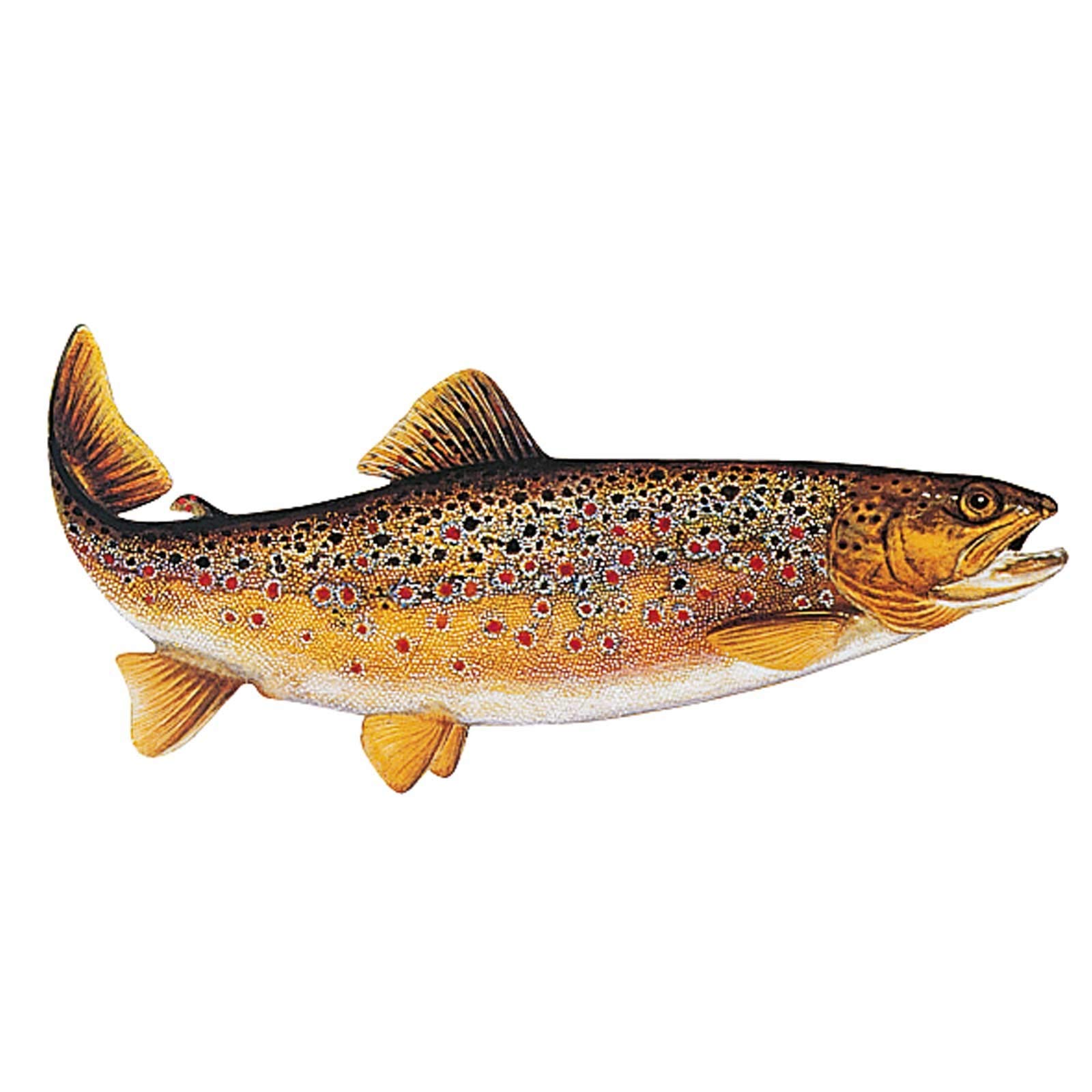Trout Sticker Small