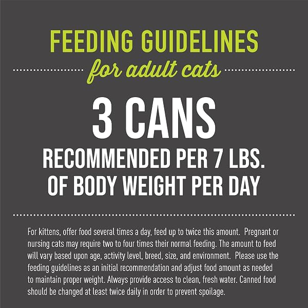 TIKI PETS CAT AFTER DARK GRAIN-FREE, LOW-CARBOHYDRATE WET FOOD WITH REAL SHREDDED MEAT FOR CATS & KITTENS, 2.8OZ, 12PK, CHICKEN & BEEF, BLACK (11240)