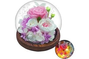 DIGI4U Preserved Rose Flowers Gifts for Women, Birthday Gifts for Her, Light Up Real Flowers Bouquet in Glass Dome Rose Gifts for Mom Girlfriend Wife Birthday Mothers Day Anniversary Thank You Gifts