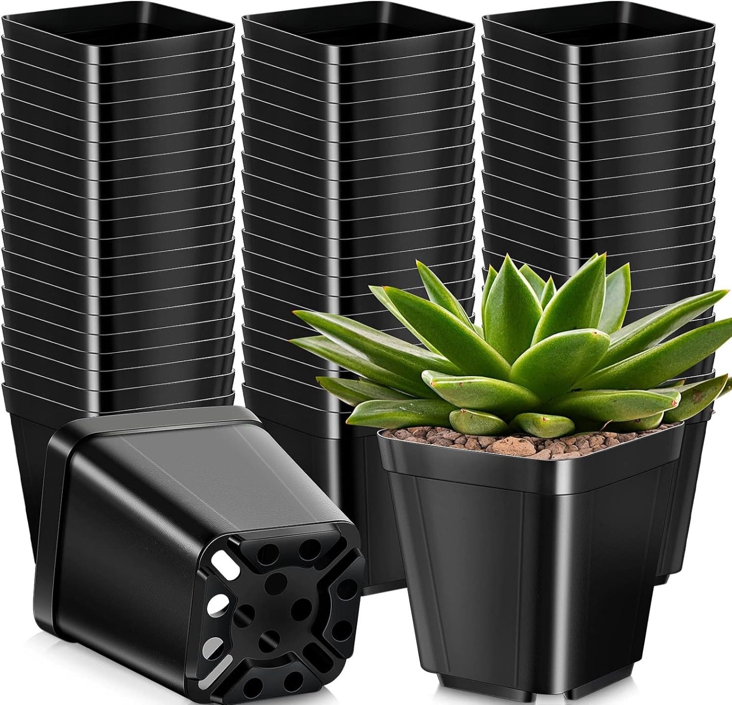 KAHEIGN 50Pcs Square Plant Pots, 10CM Thick Plastic Flower Pots Succulent Planter Nursery Pots with Drainage Holes for Small Potted Plants (Black)