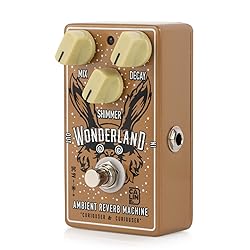 Caline CP-508 Wonderland Ambient Modulated Digital