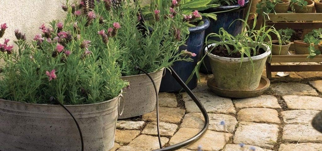 S&M 544286 Kit de Iniciación al Riego por Goteo para terrazas ...