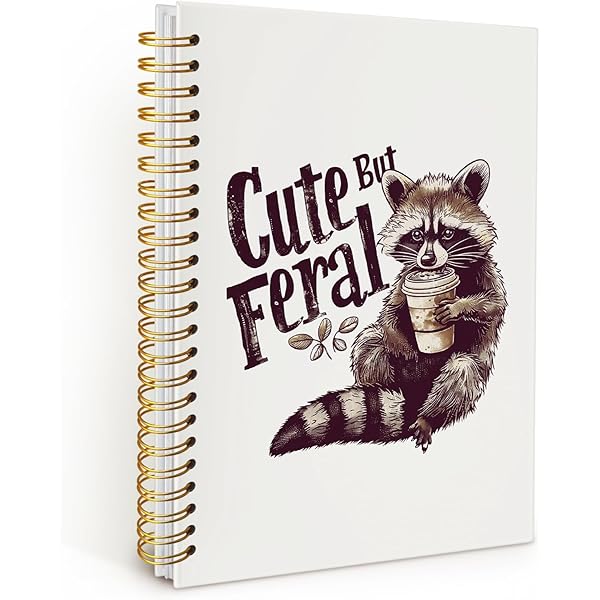 WFSM You Got This Spiral Notebook, Inspirational Notebooks For Women Men