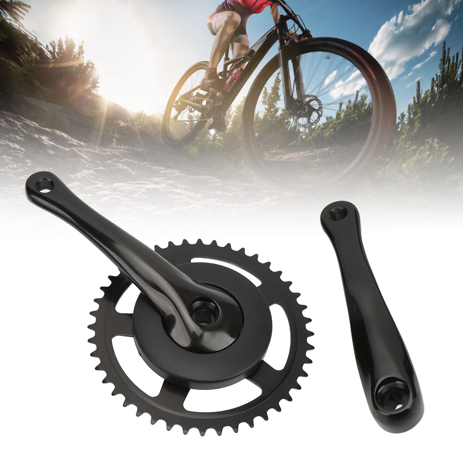View 4