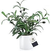 AceList Olive Tree Artificial Indoor,16.5 Inch Fake Olive Tree Nearly Natural Potted Plants White Pot for Home Room Living Modern Farmhouse Entryway Decor