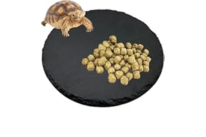 Tfwadmx Reptile Basking Platform,7.8IN Tortoise Rock Slate Plate Feeding Food Bowl Dish Turtle Bathing Resting Terrace for Lizard Bearded Dragon Chameleon Gecko Snake Frog Newt