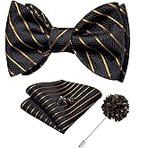 DiBanGu Paisley Bow Ties for Men Silk Self Tied Bowtie and Pocket Square Cufflinks with Lapel Pin for Wedding Party