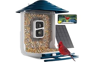 Dzees Smart Bird Feeder with Camera, Wireless Outdoor Bird Feeder, Auto Capture Video, AI Identify Bird Species, 2K HD Bird W