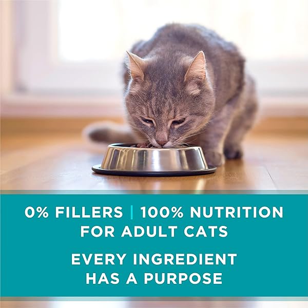 PURINA ONE URINARY TRACT HEALTH, NATURAL PATE WET CAT FOOD, URINARY TRACT HEALTH BEEF & LIVER RECIPE – (PACK OF 24) 3 OZ. PULL-TOP CANS