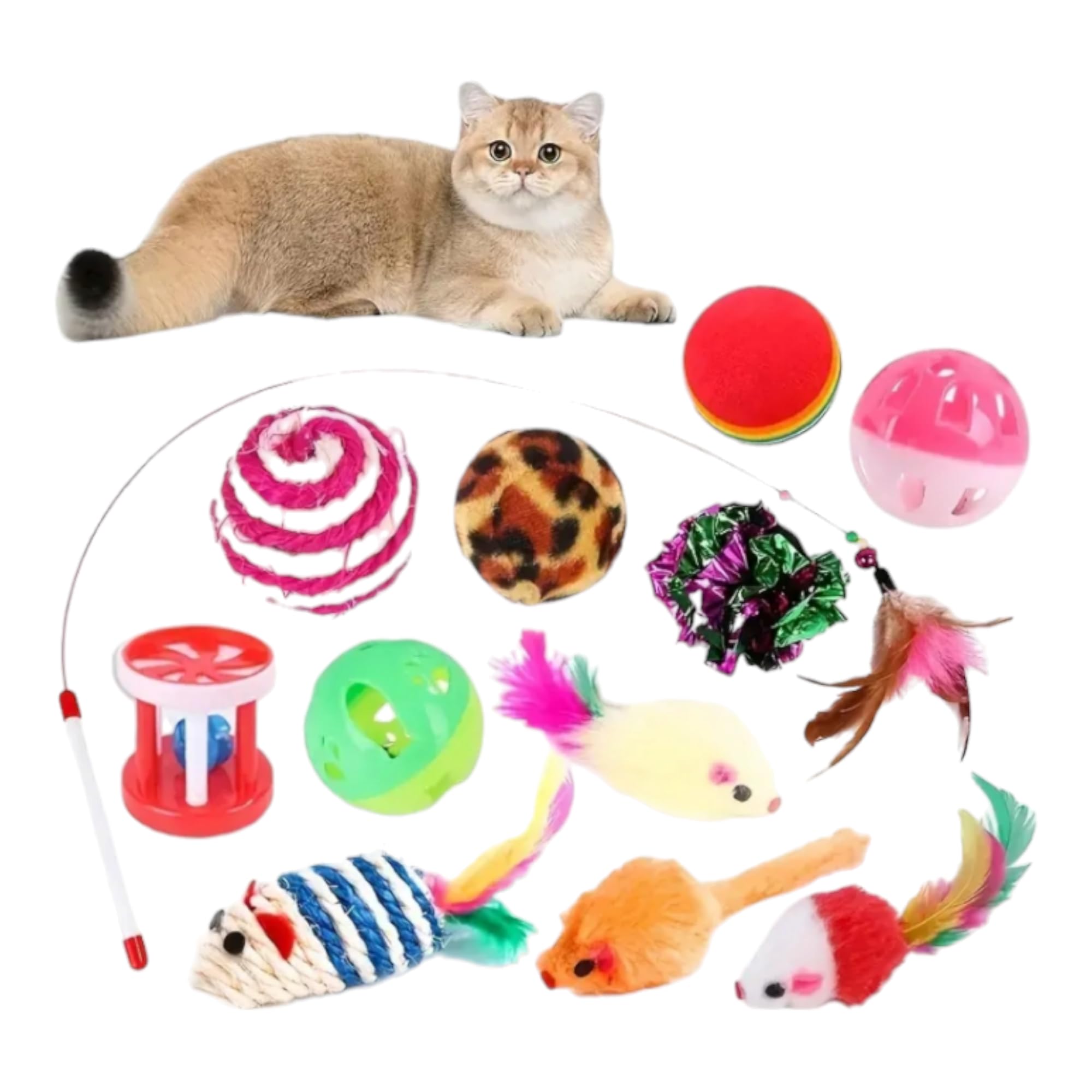 Teccyii Cat Toys Set 12Pcs Interactive Fun Exercise Indoors Cat Activity Toys And Creative Kitten Soft Play (12pcs)