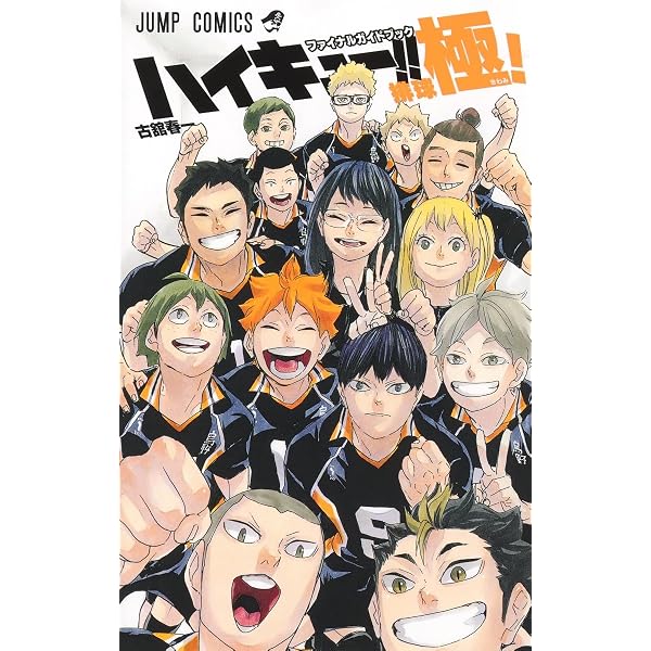 Amazon.com: HAIKYU!! : 10TH CHRONICLE EDITION COLLECTOR FORMAT