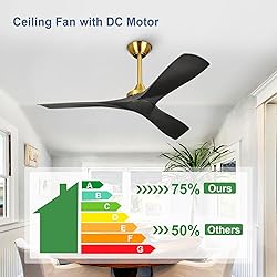 BvenuBigLite Modern Ceiling Fan with Remote: Black
