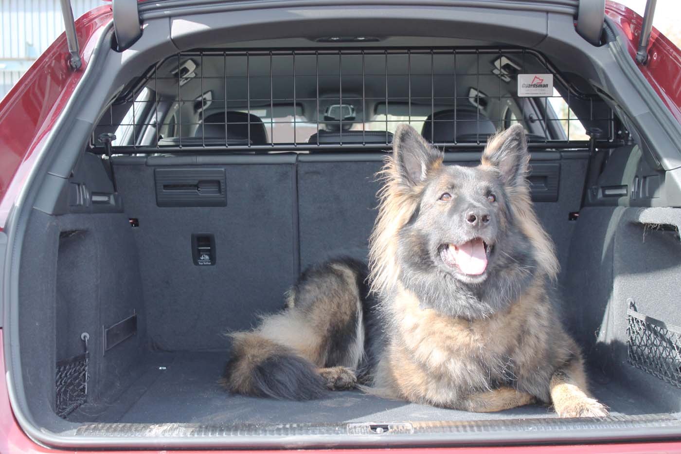 Small Animals Carriers & Transport Accessories Pet Supplies 2017