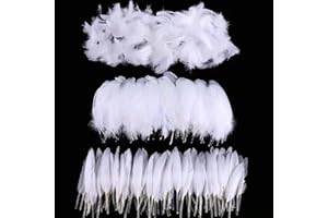 300Pcs Feathers for Crafts - 3 Styles Pure Natural Feathers or Dream Catcher DIY Crafts Wedding Party Craft Jewelry Accessori